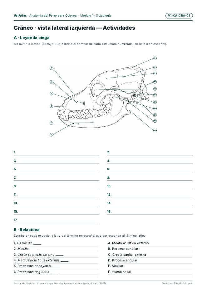 Página del Cuaderno: leyenda ciega del cráneo