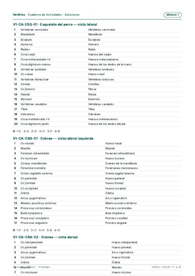 Página de soluciones del Cuaderno